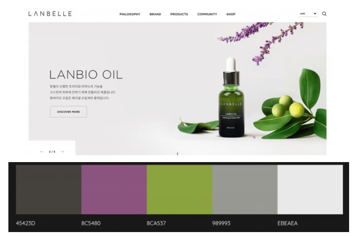 How to Choose the Right Color Palette for Your eCommerce [Guide for Beginners]