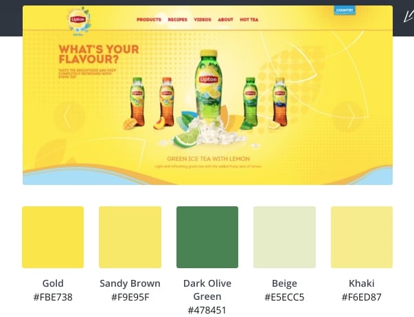 How to Choose the Right Color Palette for Your eCommerce [Guide for Beginners]