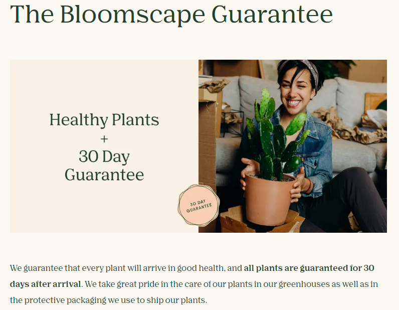 Guarantee for the plant selling online