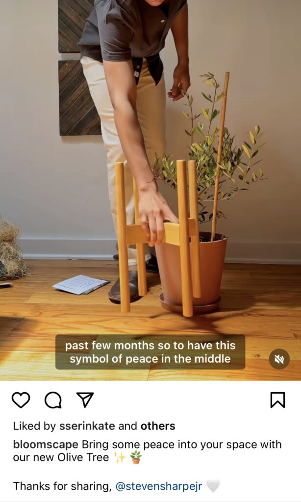 Plants in Instagram